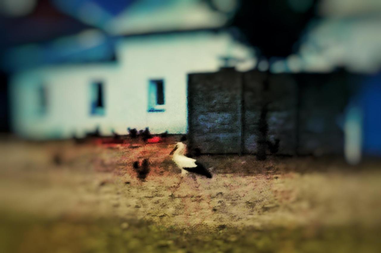 Home&Slow Life Γκντανσκ Εξωτερικό φωτογραφία